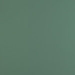 VERDE BRAC